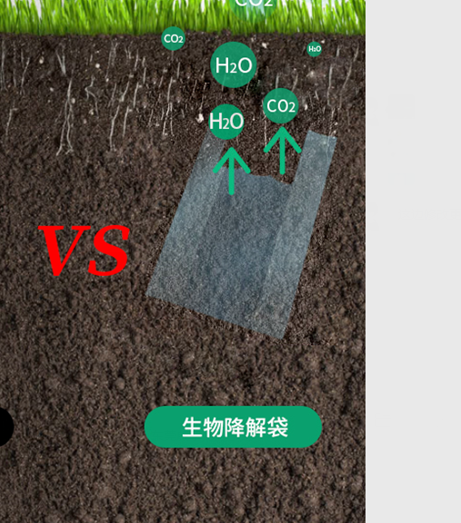 可生物降解環(huán)保塑料可以回收再利用嗎？(圖1)